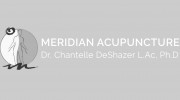 Meridian Acupuncture