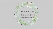 Tumbling Leaves Photography