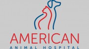 American Animal Hospital