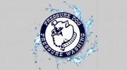 Pressure Dog Pressure Washing