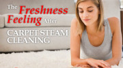 Carpet Cleaning Denver