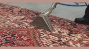 Best Buy Carpet Cleaning