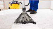 Peter Herman Carpet Cleaning